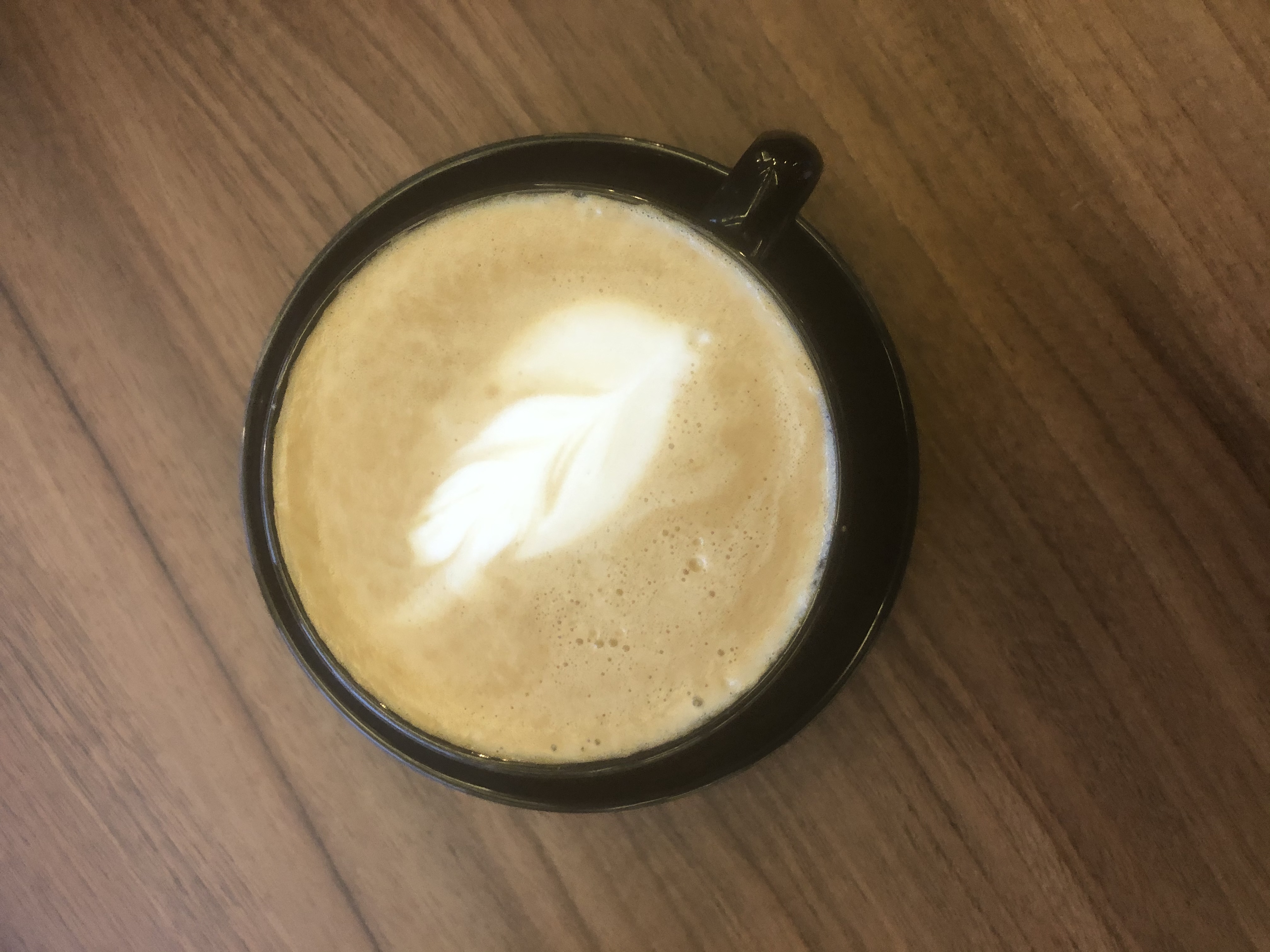 كابتشينو وسط / cappuccino medium