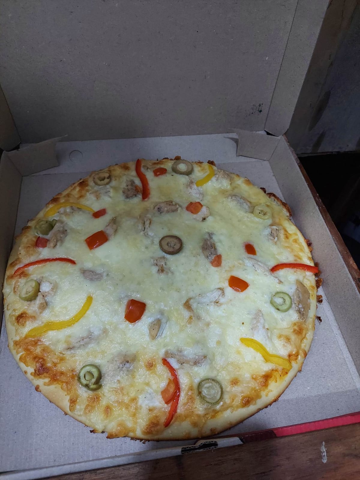 تشيكن بانيه ( عادي - زنجر )