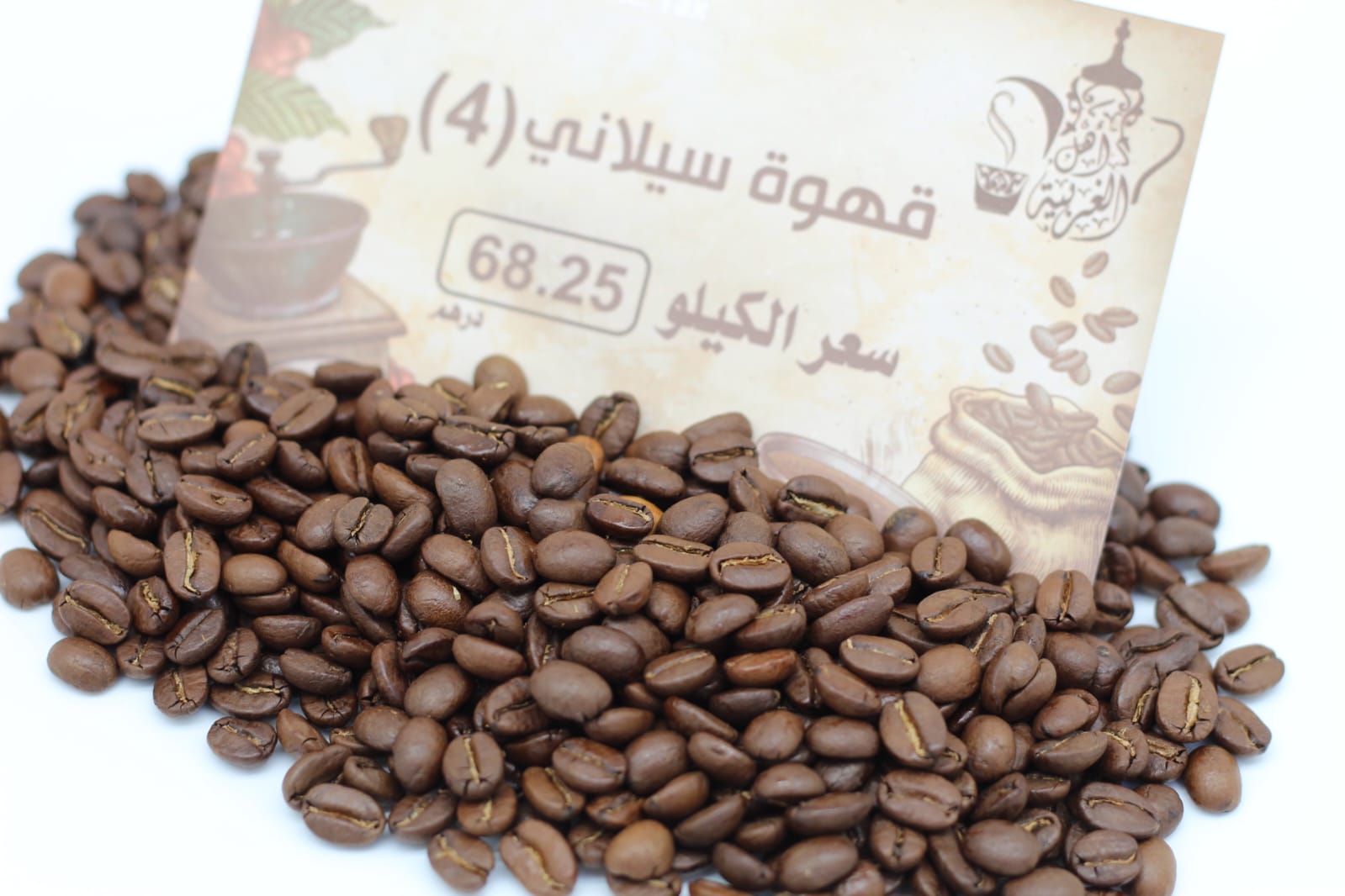 قهوة سيلاني رقم (4)