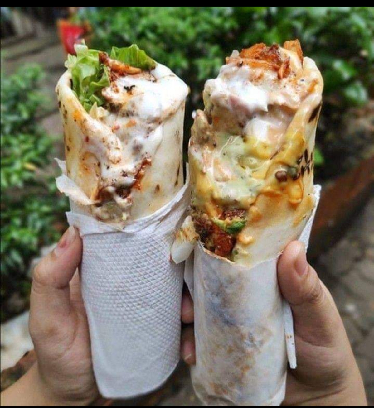 المنيا_شلبي