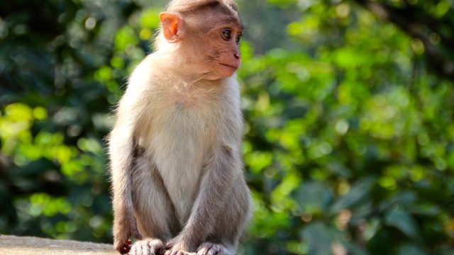 صوره احمد وهو صغير