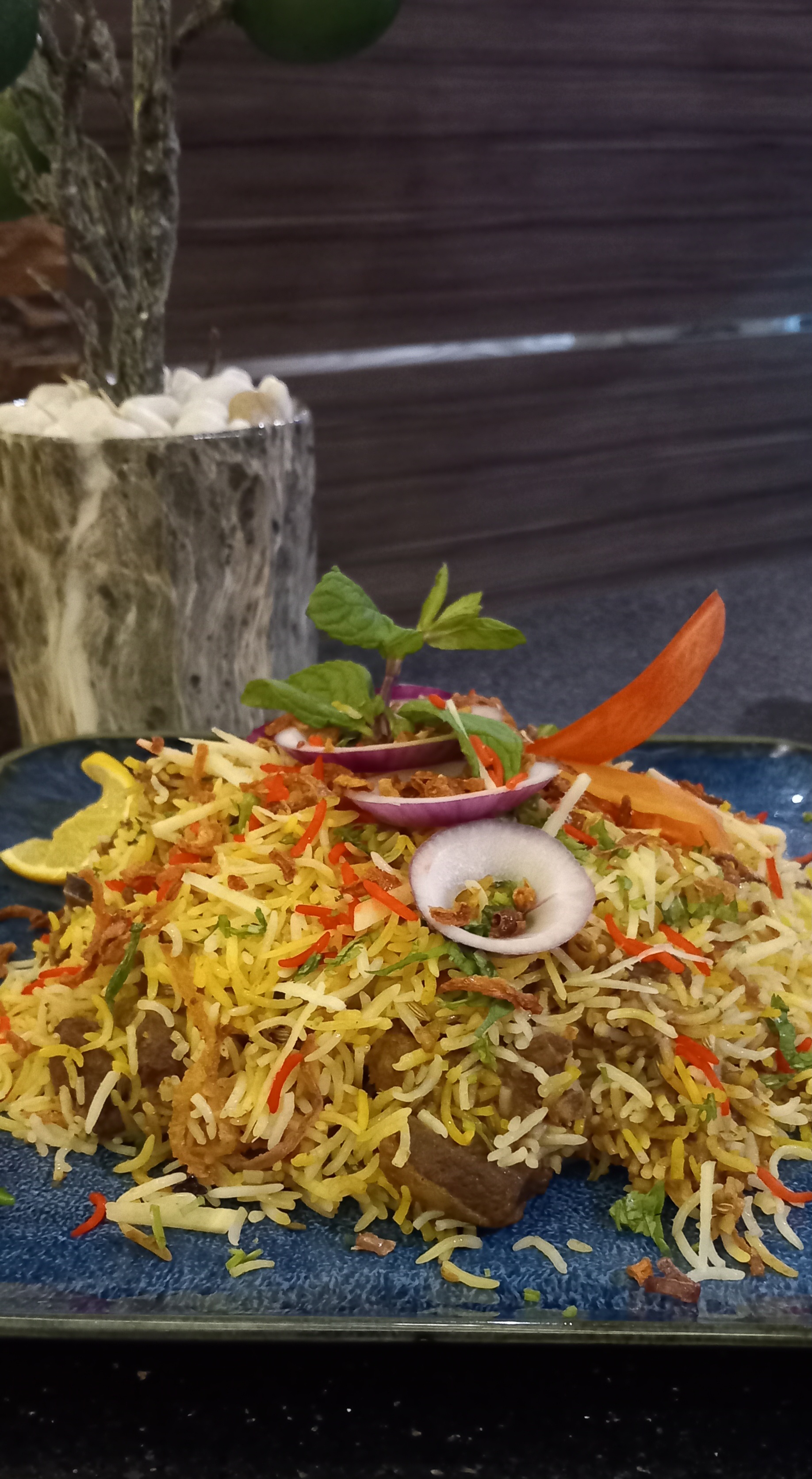 Indian Hydra Padi Meat Biryani