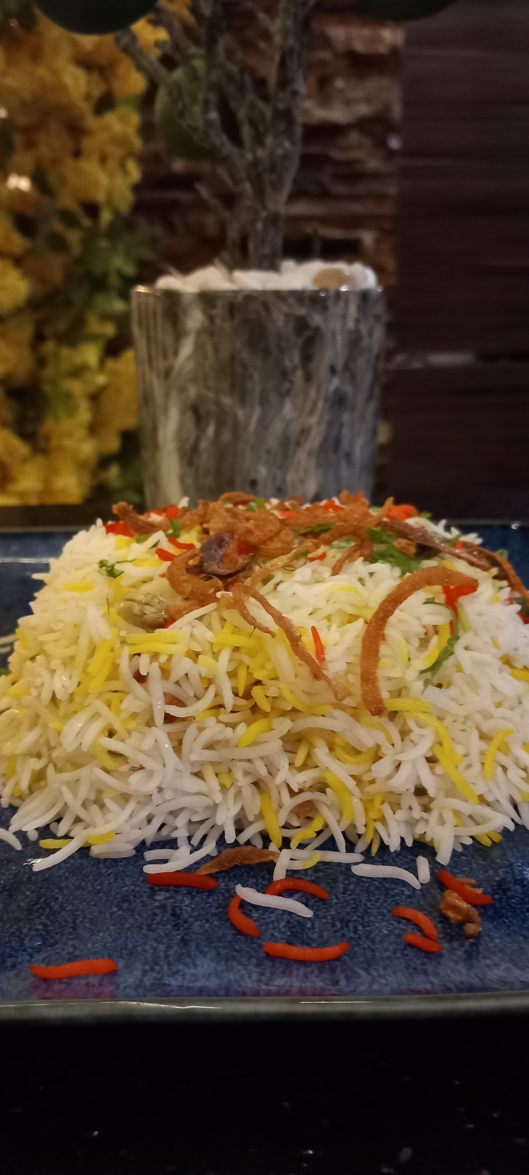 Biryani Indian Hydra Chicken