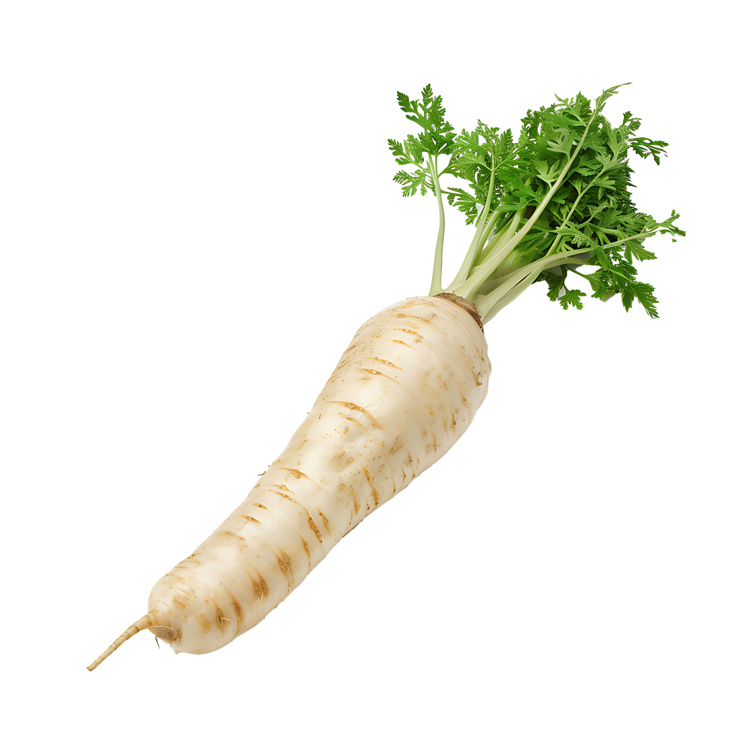 اللفت
