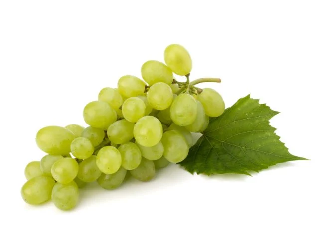 عنب موسكا Raisin Muscat
