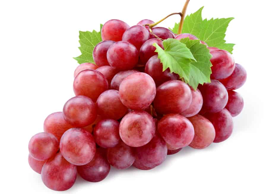 عنب أحمر Raisin Rouge