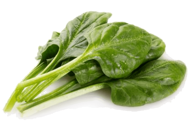 السلق Epinard