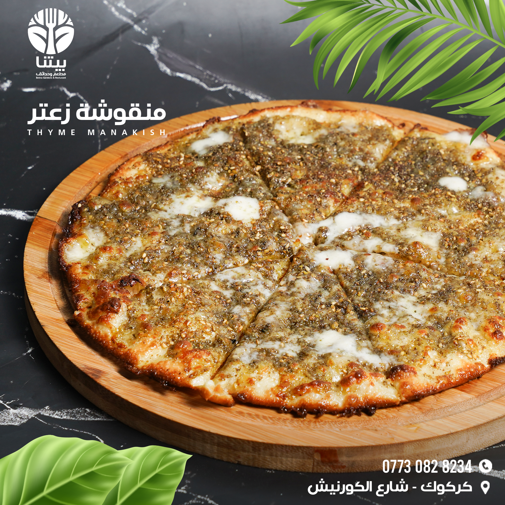 منقوشة زعتر