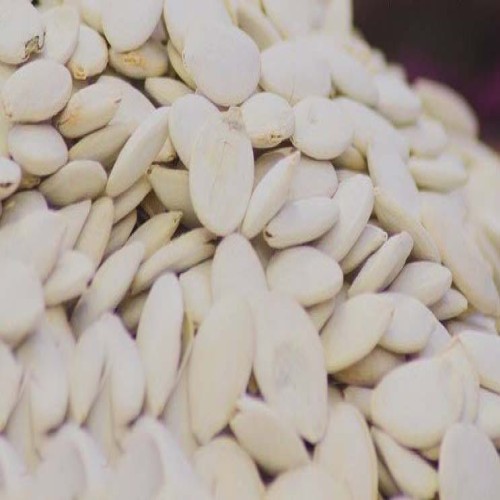 حب ابيض خشن