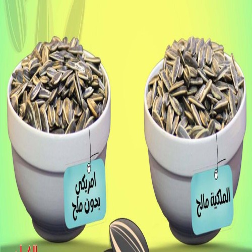 حب شمسي ملكية مالح