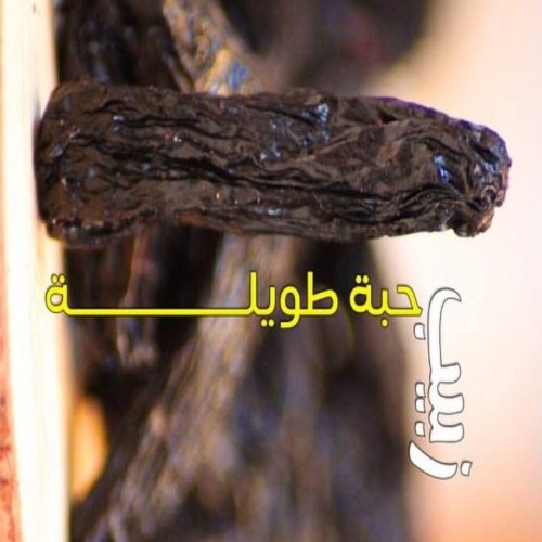 زبيب حبة طويلة