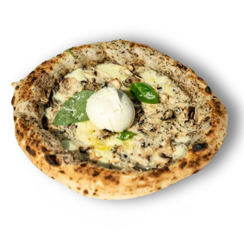 Pizza Burrata