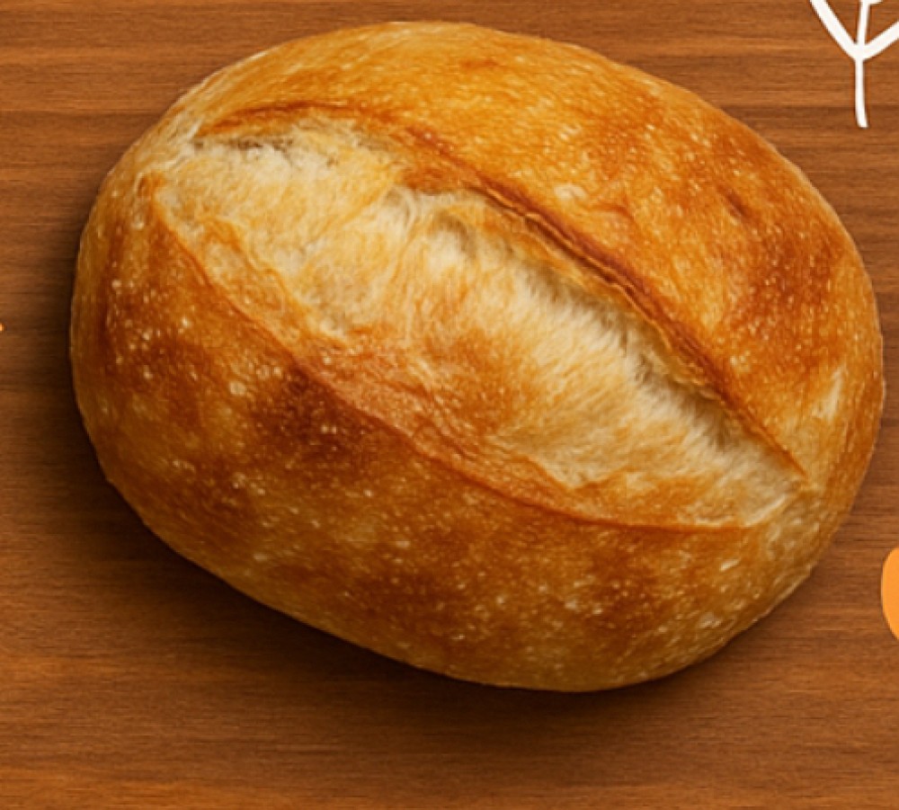 السادة