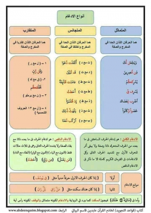 الراشدي للمواد الغذائية والخضار والفواكة الطازجة AL RASHDI