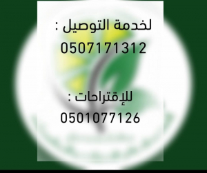 ليمون ونعناع