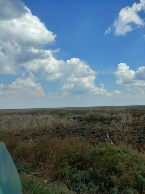 مطعم البصرة الشرقي