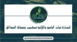 جرين مون 