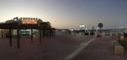 SHEIK Al-Mandi